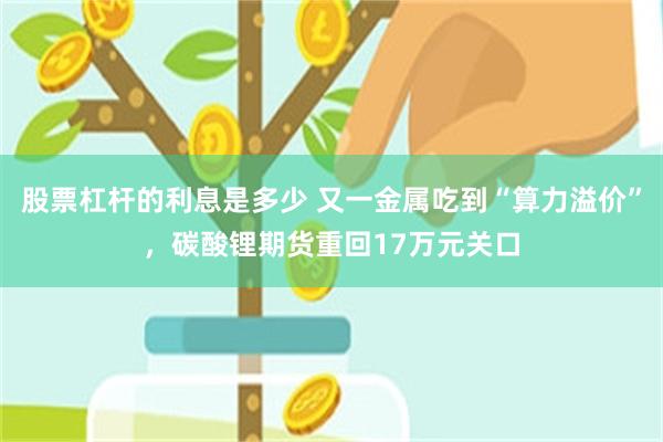 股票杠杆的利息是多少 又一金属吃到“算力溢价”，碳酸锂期货重回17万元关口