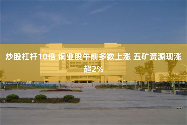 炒股杠杆10倍 铜业股午前多数上涨 五矿资源现涨超2%