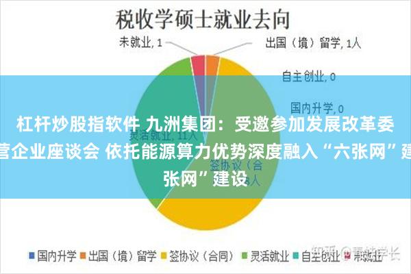杠杆炒股指软件 九洲集团：受邀参加发展改革委民营企业座谈会 依托能源算力优势深度融入“六张网”建设