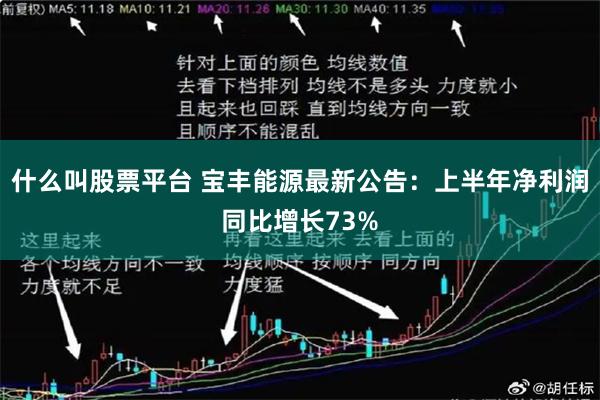 什么叫股票平台 宝丰能源最新公告：上半年净利润同比增长73%