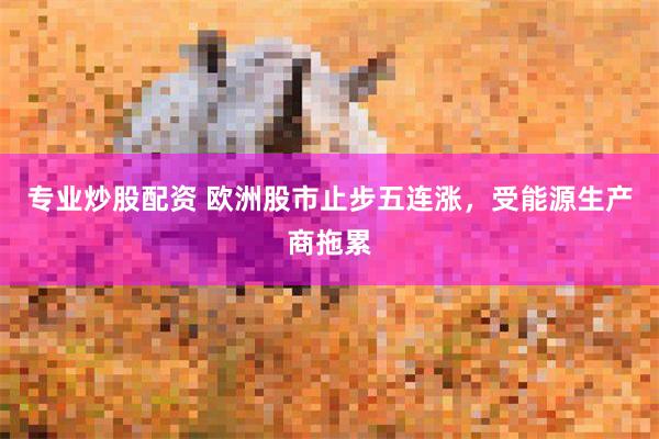 专业炒股配资 欧洲股市止步五连涨，受能源生产商拖累