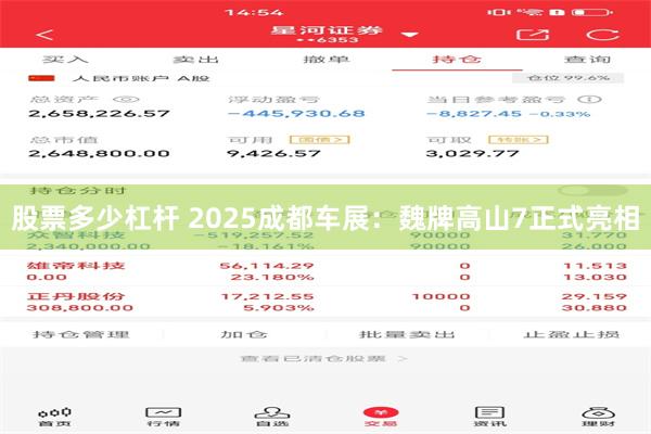 股票多少杠杆 2025成都车展：魏牌高山7正式亮相