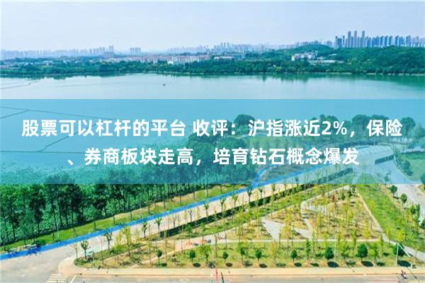 股票可以杠杆的平台 收评：沪指涨近2%，保险、券商板块走高，培育钻石概念爆发