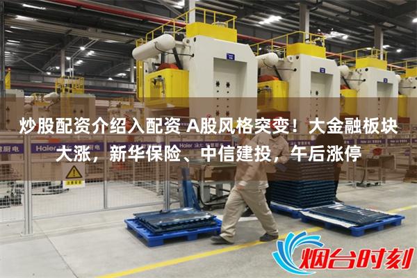 炒股配资介绍入配资 A股风格突变！大金融板块大涨，新华保险、中信建投，午后涨停