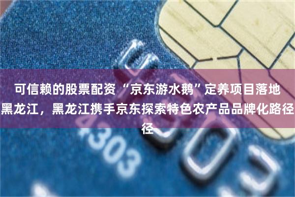 可信赖的股票配资 “京东游水鹅”定养项目落地黑龙江，黑龙江携手京东探索特色农产品品牌化路径