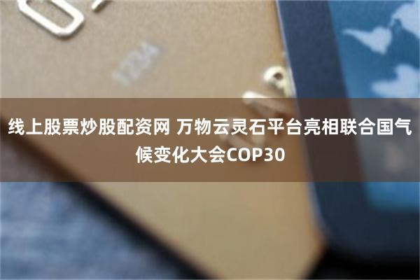 线上股票炒股配资网 万物云灵石平台亮相联合国气候变化大会COP30