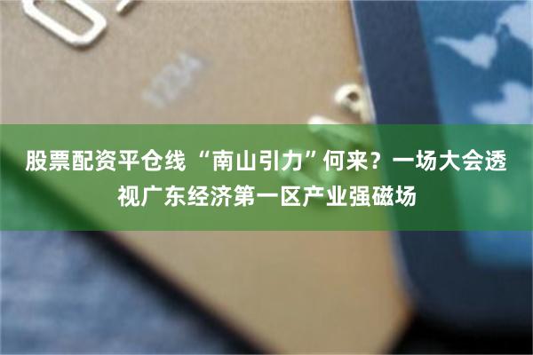 股票配资平仓线 “南山引力”何来？一场大会透视广东经济第一区产业强磁场