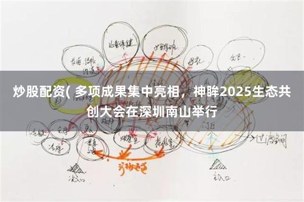 炒股配资( 多项成果集中亮相，神眸2025生态共创大会在深圳南山举行