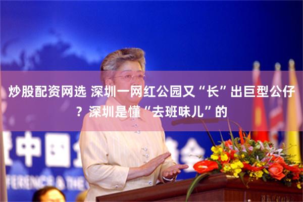 炒股配资网选 深圳一网红公园又“长”出巨型公仔？深圳是懂“去班味儿”的