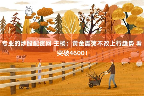 专业的炒股配资网 王杨：黄金震荡不改上行趋势 看突破4600！