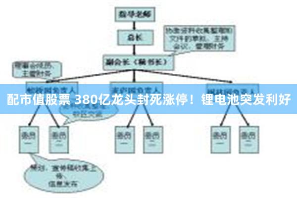 配市值股票 380亿龙头封死涨停！锂电池突发利好
