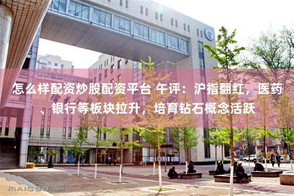 怎么样配资炒股配资平台 午评：沪指翻红，医药、银行等板块拉升，培育钻石概念活跃