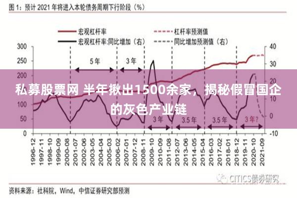 私募股票网 半年揪出1500余家，揭秘假冒国企的灰色产业链