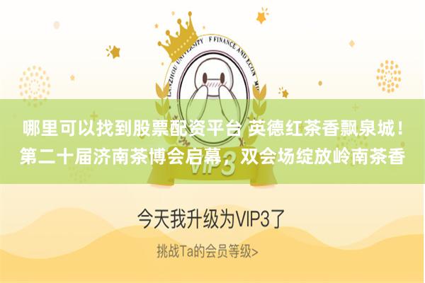 哪里可以找到股票配资平台 英德红茶香飘泉城！第二十届济南茶博会启幕，双会场绽放岭南茶香