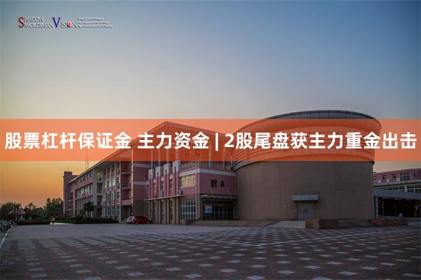 股票杠杆保证金 主力资金 | 2股尾盘获主力重金出击