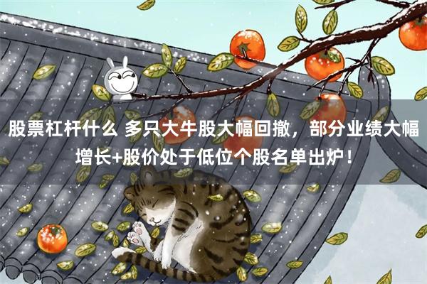 股票杠杆什么 多只大牛股大幅回撤，部分业绩大幅增长+股价处于低位个股名单出炉！