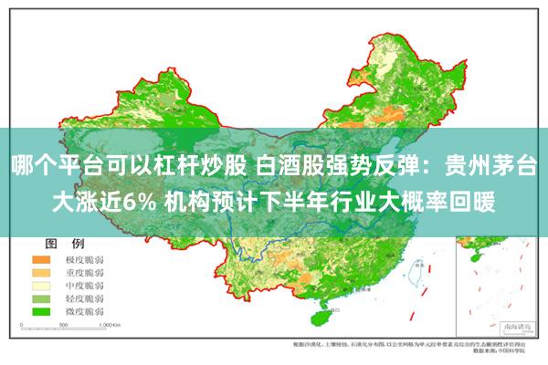哪个平台可以杠杆炒股 白酒股强势反弹：贵州茅台大涨近6% 机构预计下半年行业大概率回暖