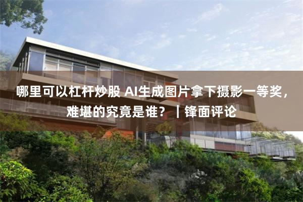 哪里可以杠杆炒股 AI生成图片拿下摄影一等奖，难堪的究竟是谁？｜锋面评论