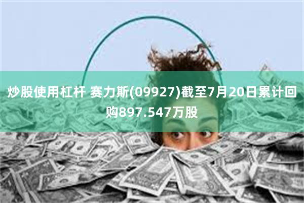 炒股使用杠杆 赛力斯(09927)截至7月20日累计回购897.547万股