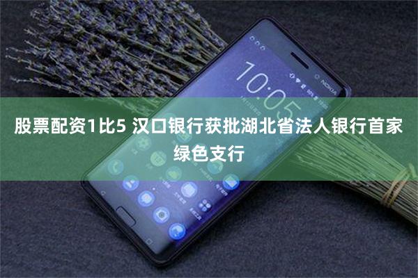 股票配资1比5 汉口银行获批湖北省法人银行首家绿色支行