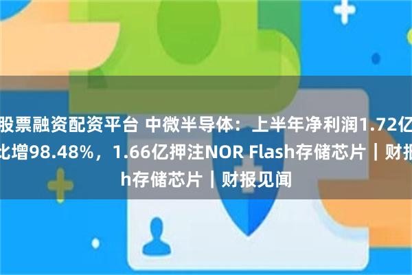 股票融资配资平台 中微半导体：上半年净利润1.72亿元同比增98.48%，1.66亿押注NOR Flash存储芯片｜财报见闻