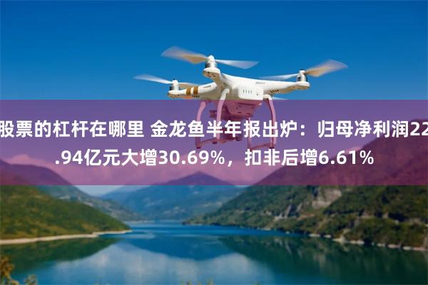 股票的杠杆在哪里 金龙鱼半年报出炉：归母净利润22.94亿元大增30.69%，扣非后增6.61%