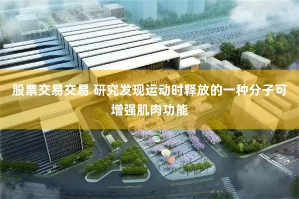 股票交易交易 研究发现运动时释放的一种分子可增强肌肉功能