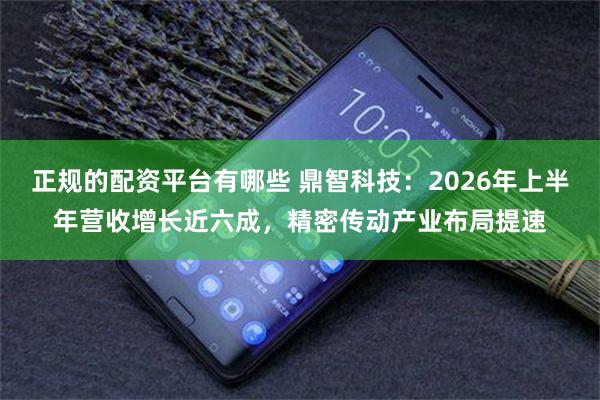 正规的配资平台有哪些 鼎智科技：2026年上半年营收增长近六成，精密传动产业布局提速