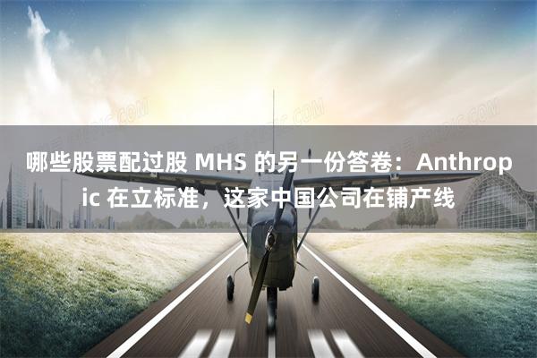 哪些股票配过股 MHS 的另一份答卷：Anthropic 在立标准，这家中国公司在铺产线