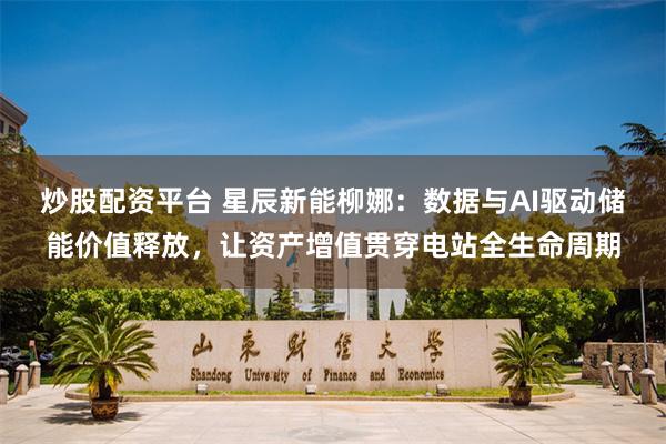 炒股配资平台 星辰新能柳娜：数据与AI驱动储能价值释放，让资产增值贯穿电站全生命周期