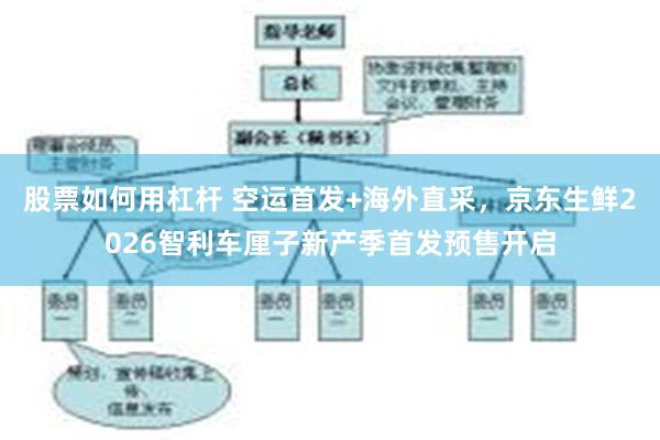 股票如何用杠杆 空运首发+海外直采，京东生鲜2026智利车厘子新产季首发预售开启
